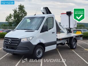 Mercedes-Benz Sprinter 315 CDI France Elevateur TOPY 10.2 Hoogwerker Hubarbeit plataforma sobre camión nueva